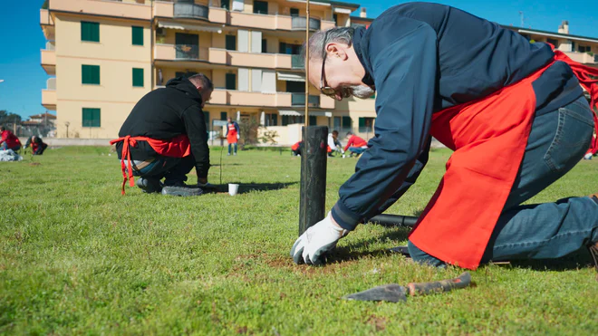 270323 - Viareggio_Conad_1.10.1.jpg